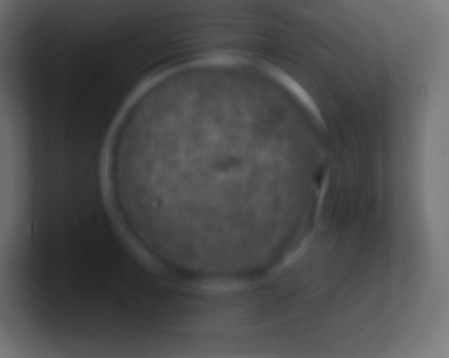 X0000100781091200807031226