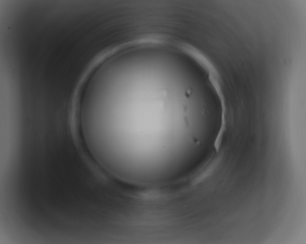 X0000100781093200807031226