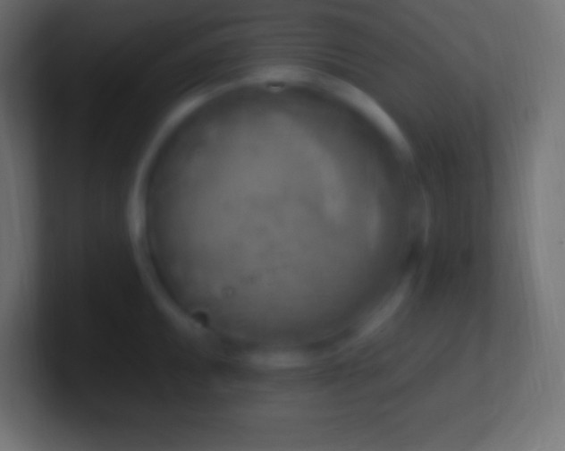 X0000100781095200807031226