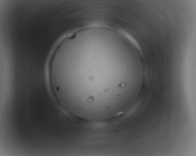 X0000100781096200807031226