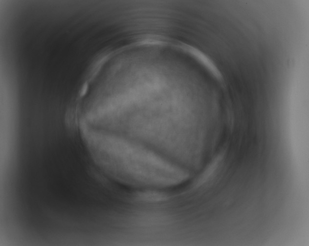 X0000100781097200807031226