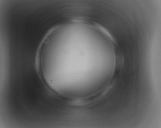 X0000100781098200807031226