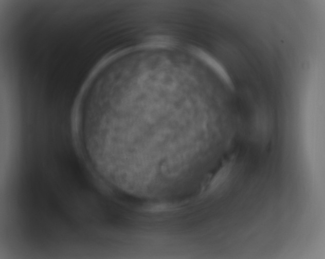 X0000100781099200807031226