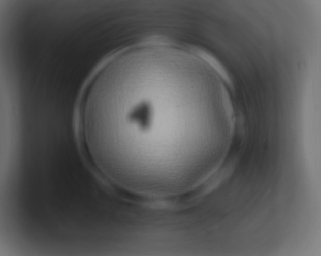 X0000100781101200807031226