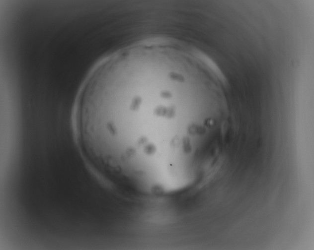 X0000100781103200807031226