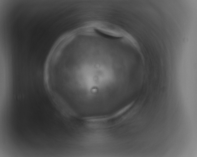 X0000100781104200807031226