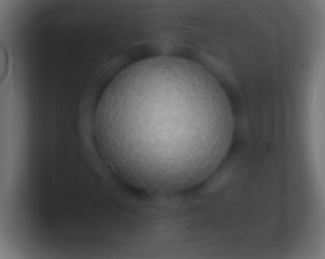 X0000100781105200807031225