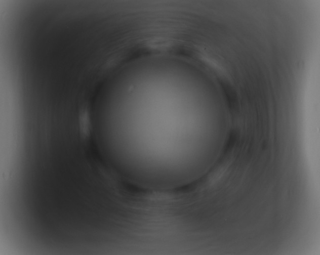 X0000100781106200807031225