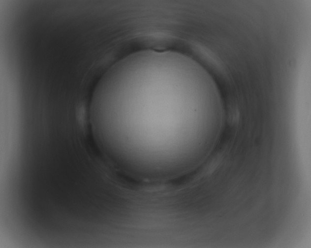 X0000100781108200807031225