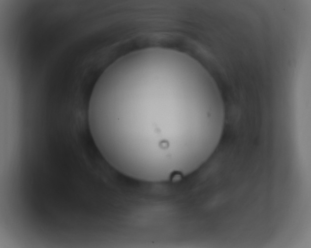 X0000100781109200807031225