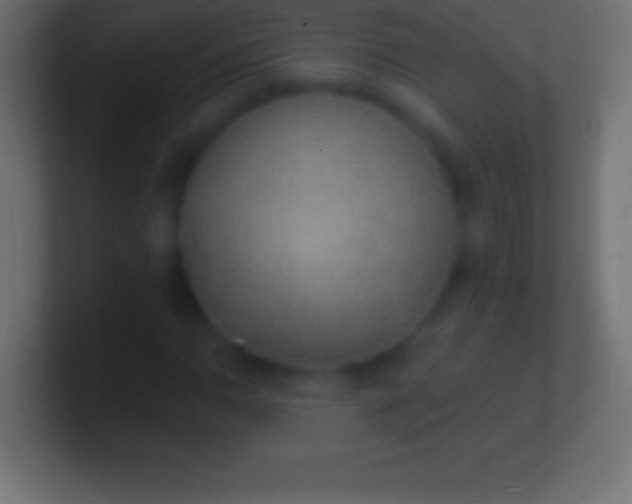 X0000100781110200807031225