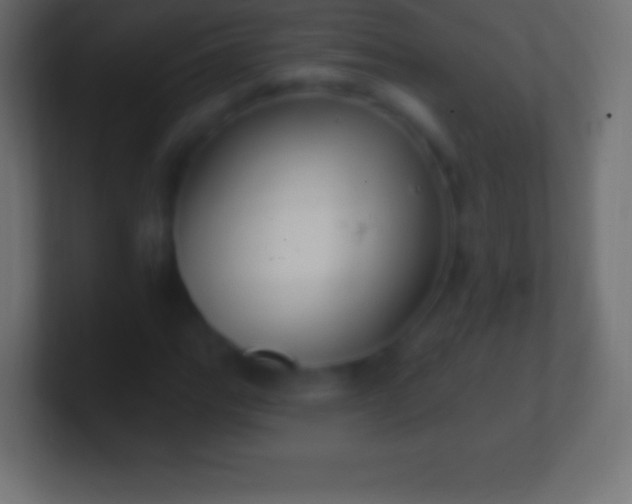 X0000100781111200807031225