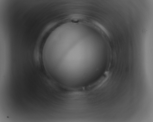 X0000100781115200807031225