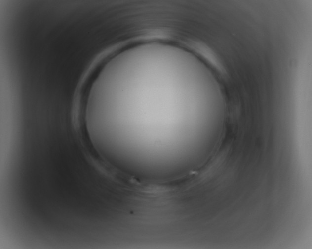 X0000100781116200807031225