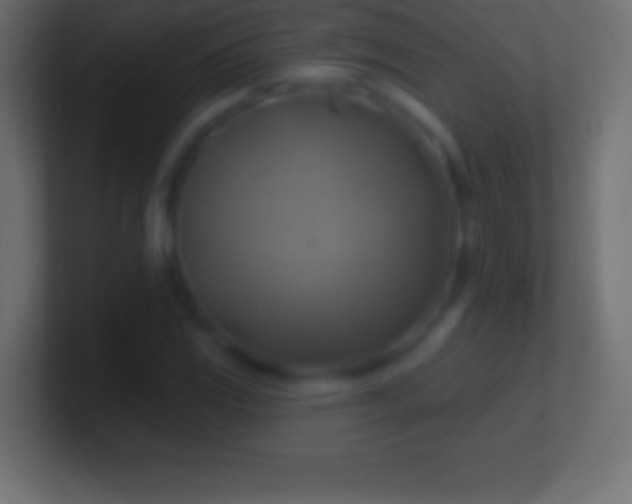 X0000100781117200807031225