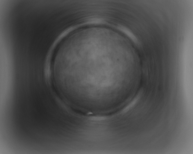 X0000100781118200807031225