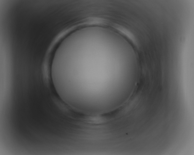 X0000100781120200807031226