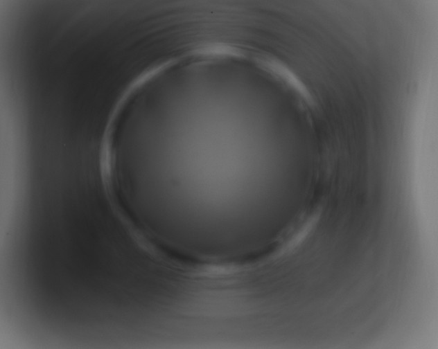 X0000100781125200807031226