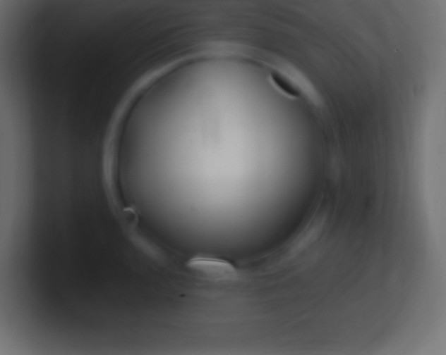 X0000100781136200807031226