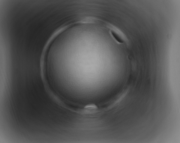 X0000100781138200807031226