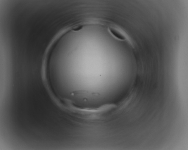 X0000100781139200807031226