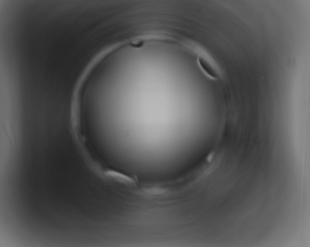 X0000100781140200807031226