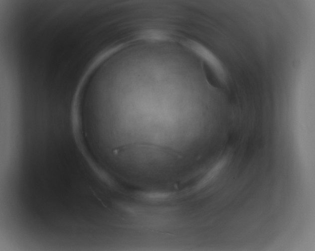 X0000100781141200807031226