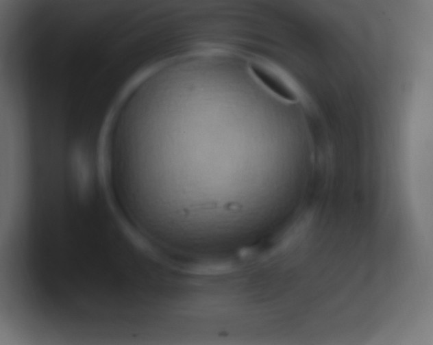 X0000100781143200807031226