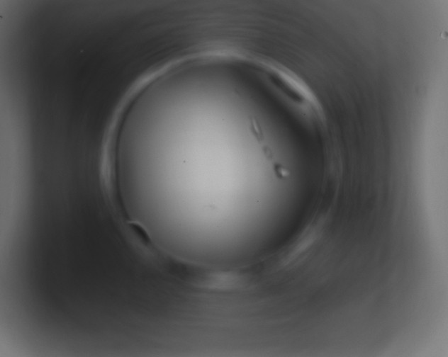 X0000100781144200807031226