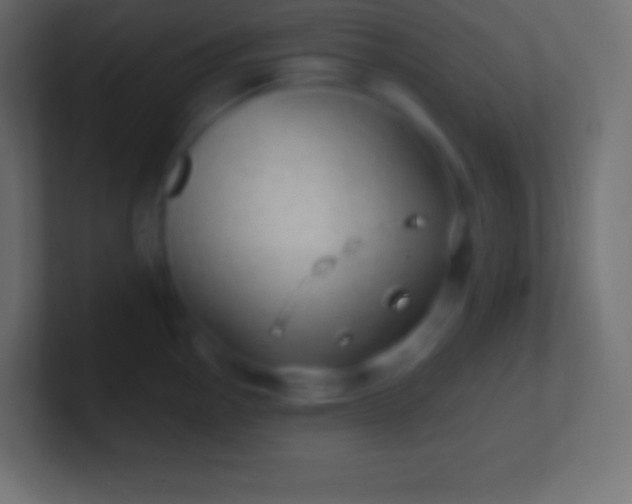 X0000100781145200807031226