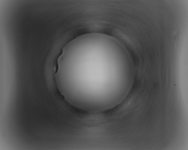 X0000100781153200807031225