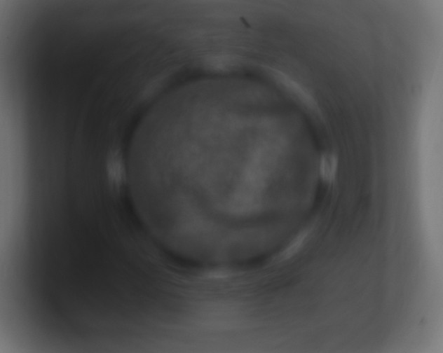 X0000100781155200807031225