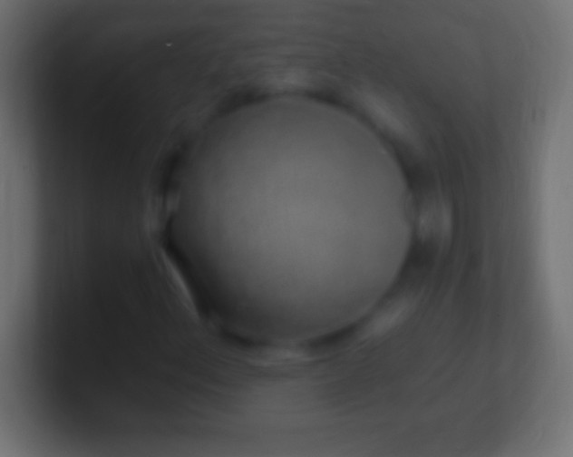 X0000100781156200807031225