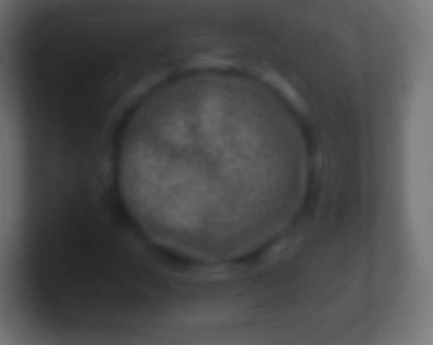 X0000100781159200807031225