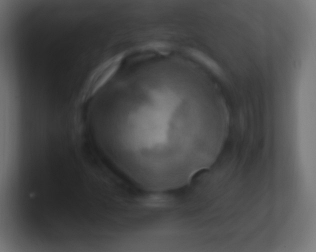 X0000100781160200807031225