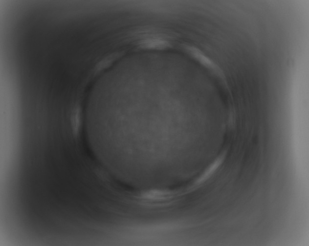 X0000100781161200807031225