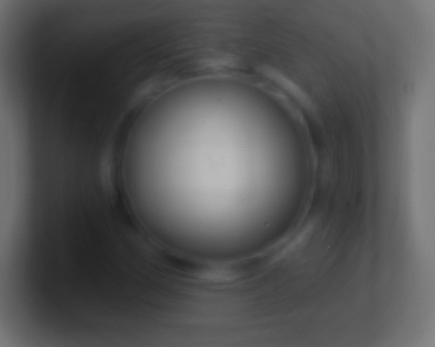 X0000100781162200807031225