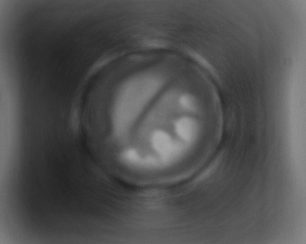 X0000100781163200807031225