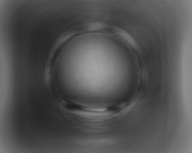 X0000100781164200807031225