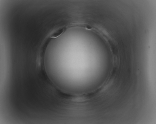 X0000100781165200807031225