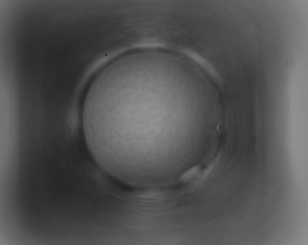 X0000100781167200807031225