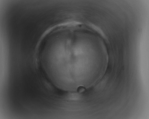 X0000100781168200807031225