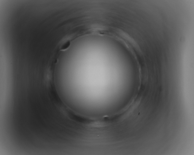 X0000100781169200807031225