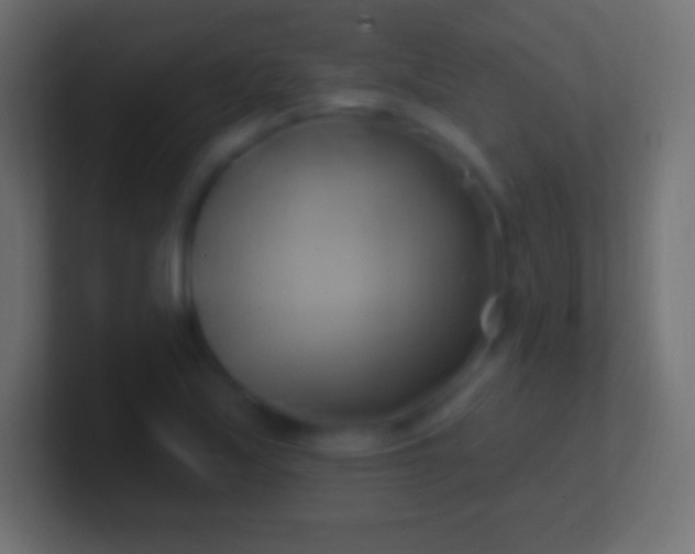 X0000100781171200807031225