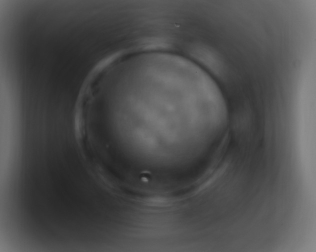 X0000100781172200807031225