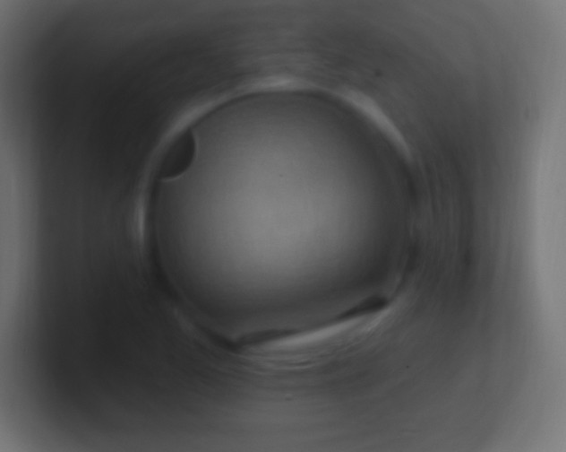 X0000100781173200807031225