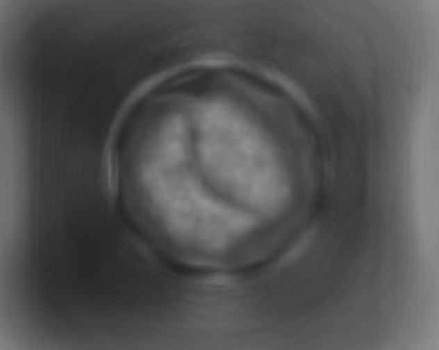 X0000100781175200807031225