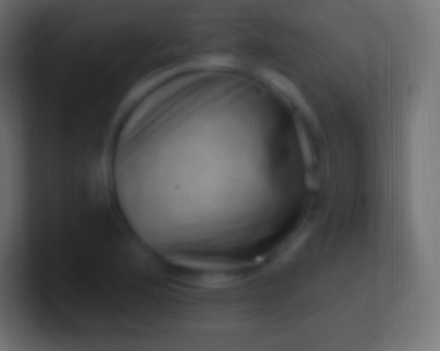 X0000100781176200807031225