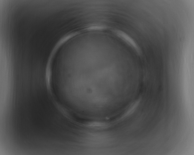 X0000100781179200807031225