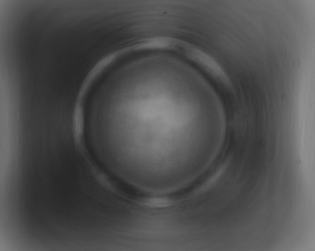 X0000100781180200807031225